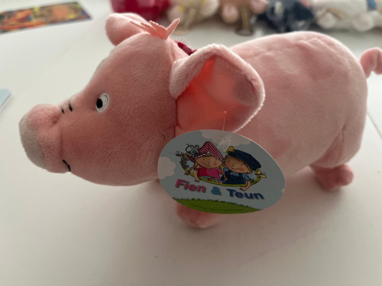 Fien & Teun Knuffelvarken - Roze, Zo goed als nieuw, Kinderen en Baby's, Speelgoed | Knuffels en Pluche, Overige merken, Overige karakters