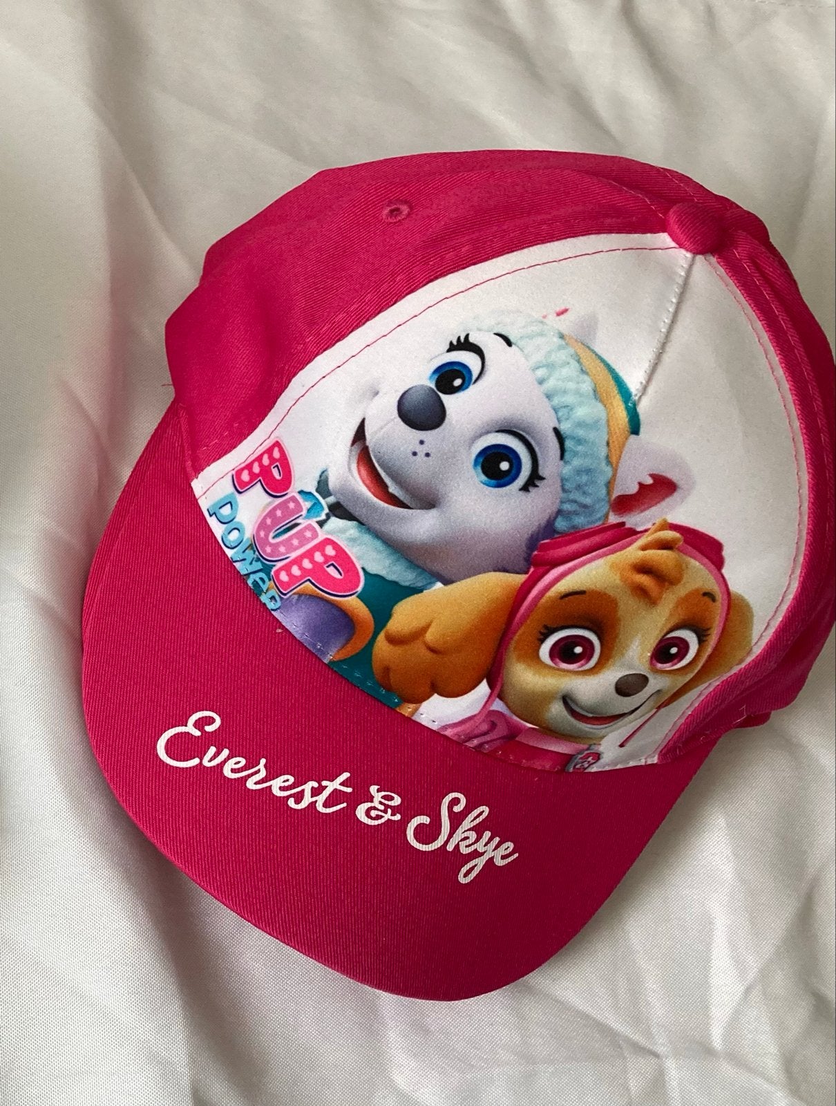 Nieuw Paw Patrol Pet Everest & Skye Roze voor meisje, Ophalen of Verzenden, Nieuw, Meisje, Pet