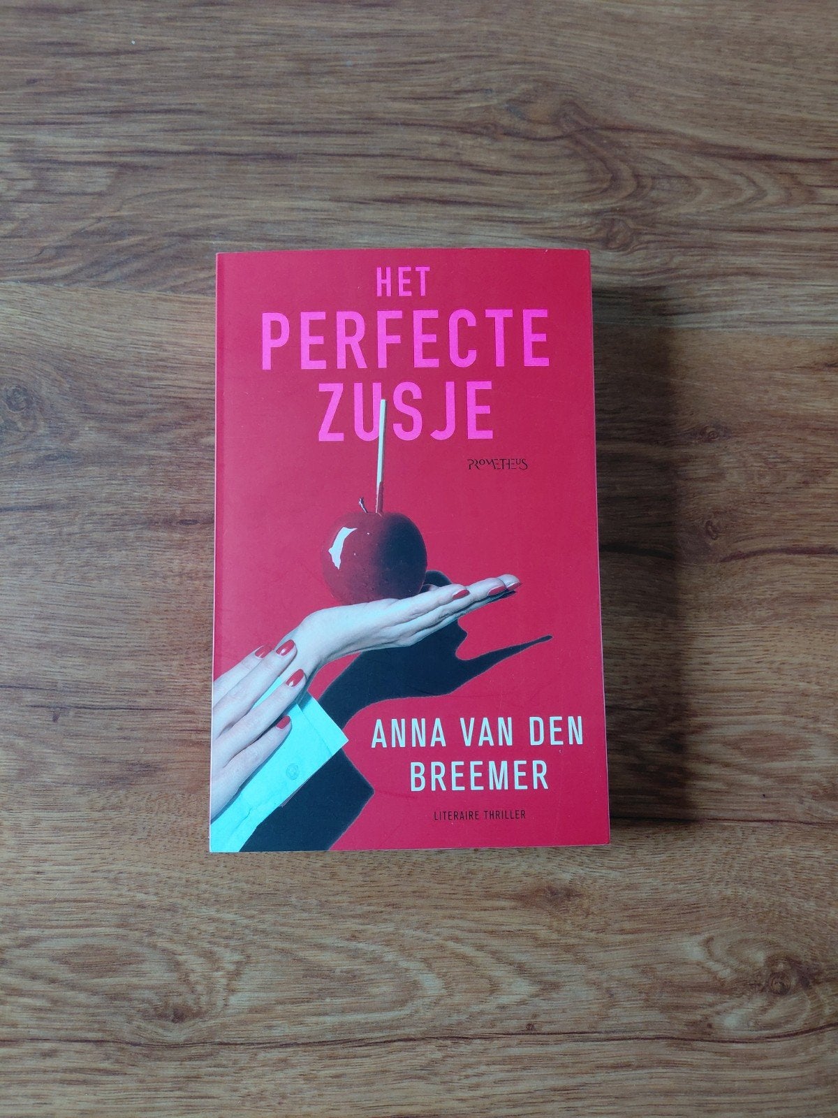 Thriller • Anna van den Breemer - Het perfecte zusje, Ophalen of Verzenden, Zo goed als nieuw, Anna van den Breemer