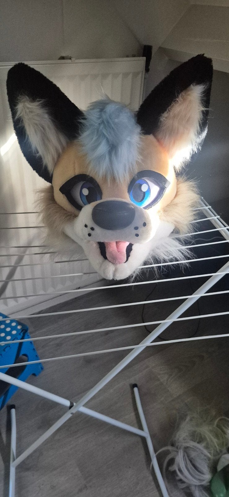 Furry kostuum/attributen, Ophalen of Verzenden, Gebruikt, Pak of Jurk