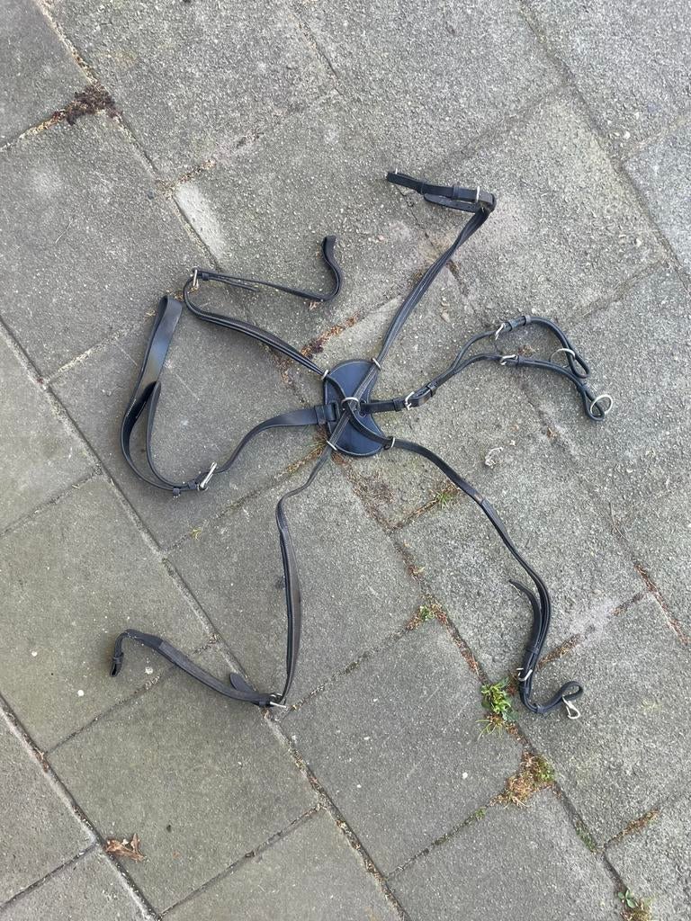 Zwart borsttuig/martingaal, Dieren en Toebehoren, Ophalen of Verzenden, Zo goed als nieuw
