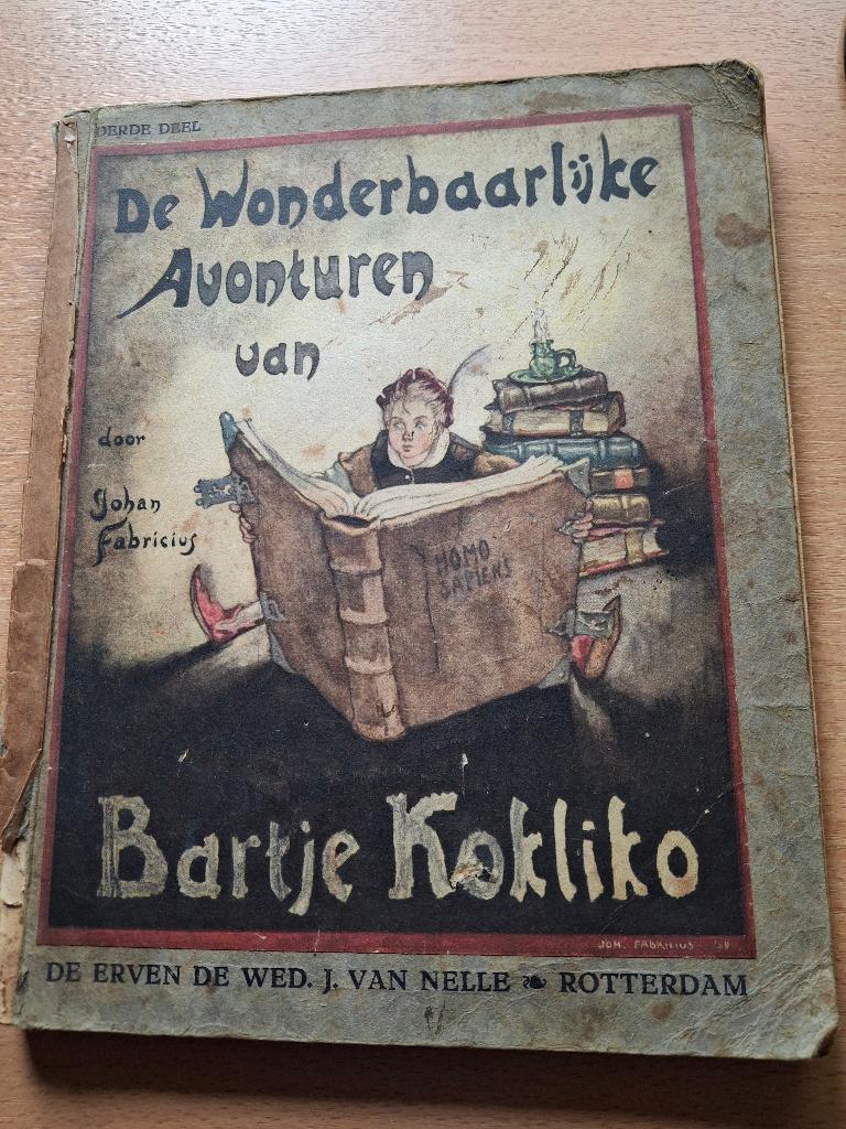 boek, Boeken, Gelezen, Fictie algemeen, Johan Fabricius, Ophalen of Verzenden