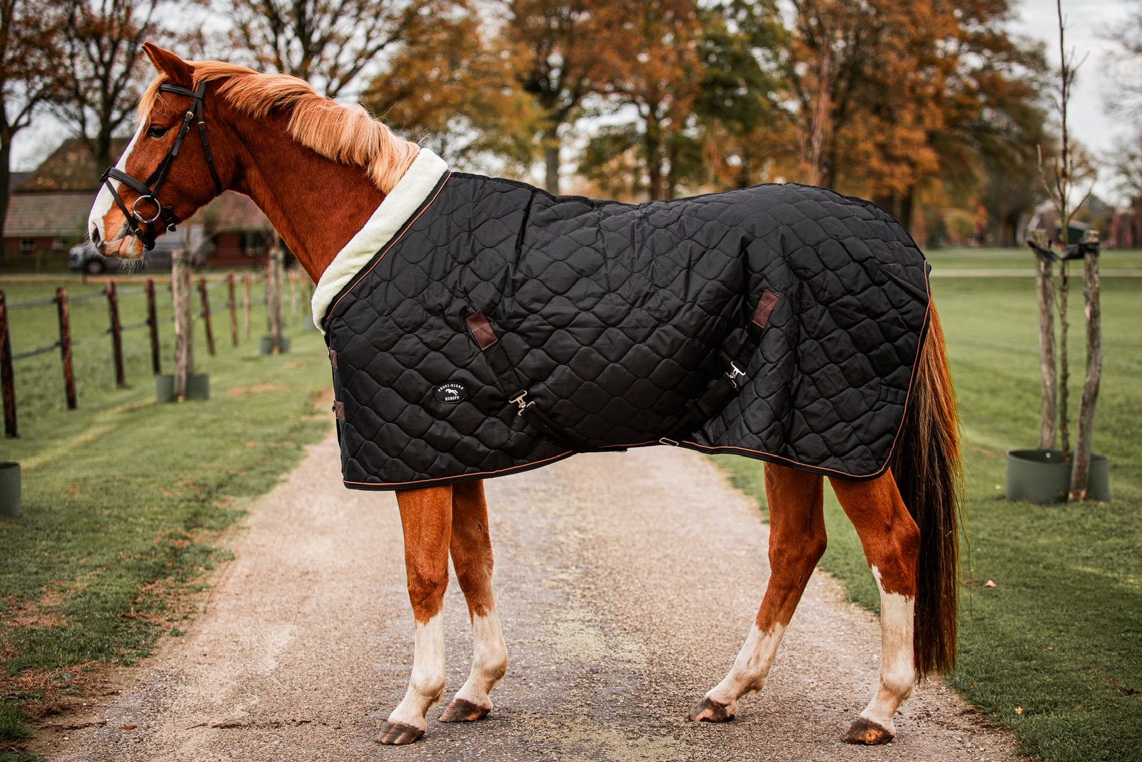 Nieuwe Profi-Rider staldekens, Ophalen of Verzenden, Nieuw, Staldeken, Overige merken