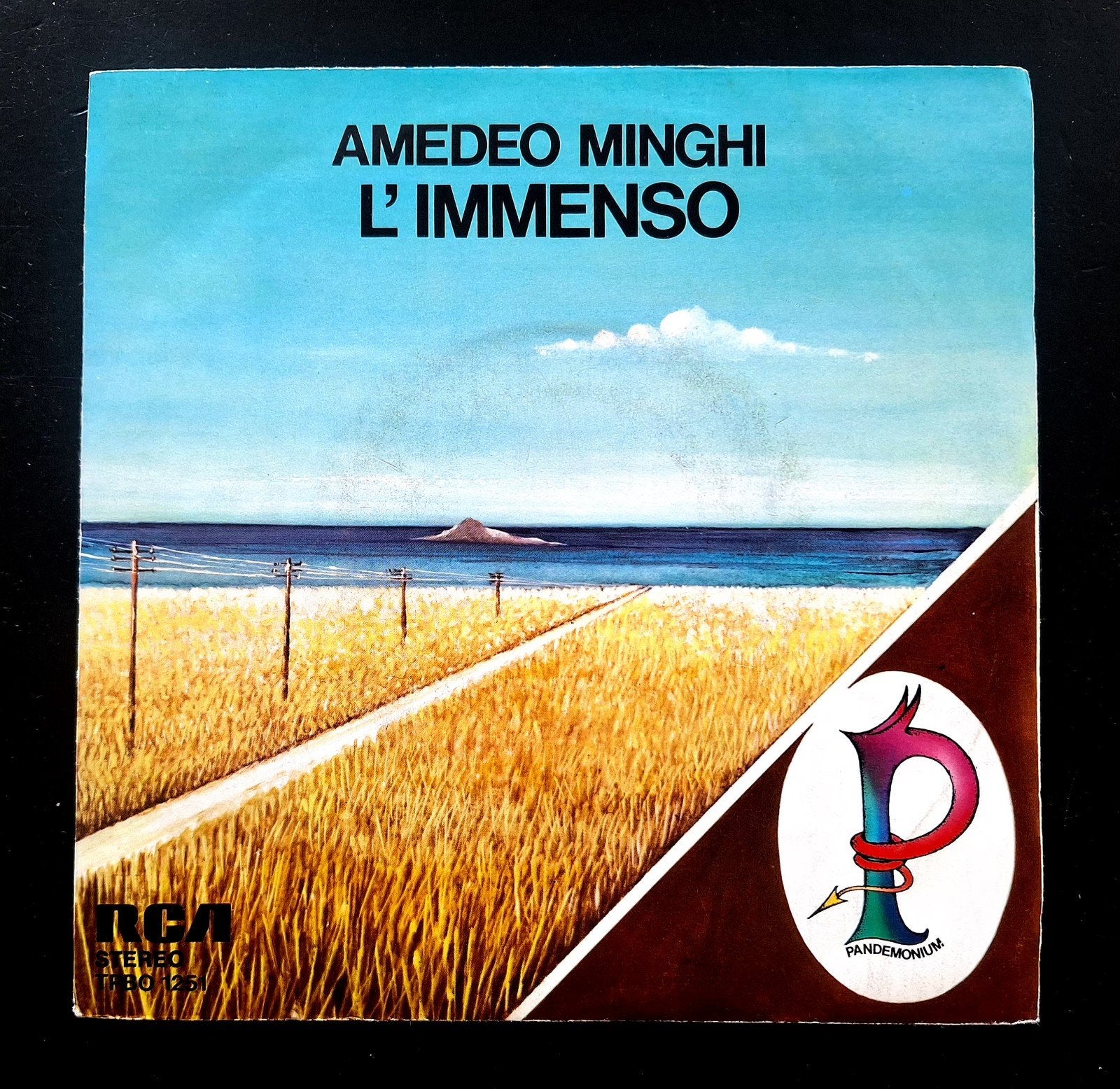 7"/SINGLE  AMADEO MINGHI - L'Immenso, Ophalen of Verzenden, Gebruikt, Pop