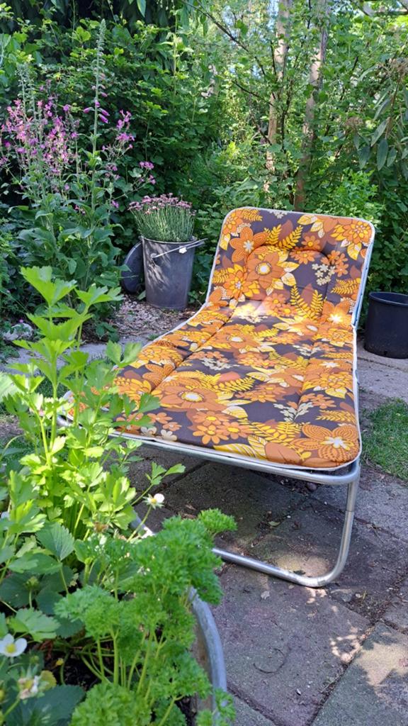 Retro ligbed, eyecatcher in je tuin!, Ophalen
