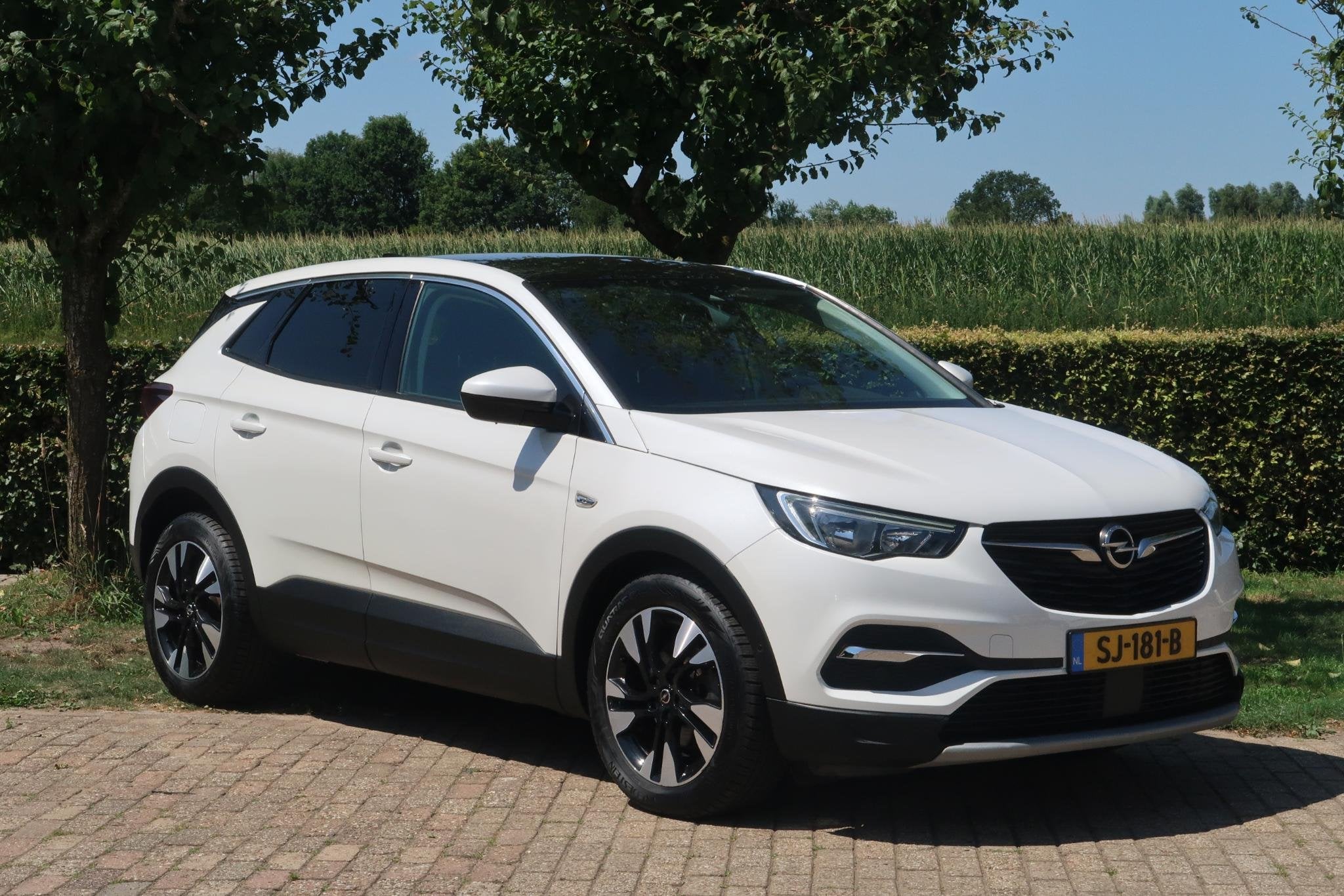 Opel Grandland X 1.2 Turbo Business Executive, Auto's, Opel, Stof, Gebruikt, Met garantie (alle), Wit