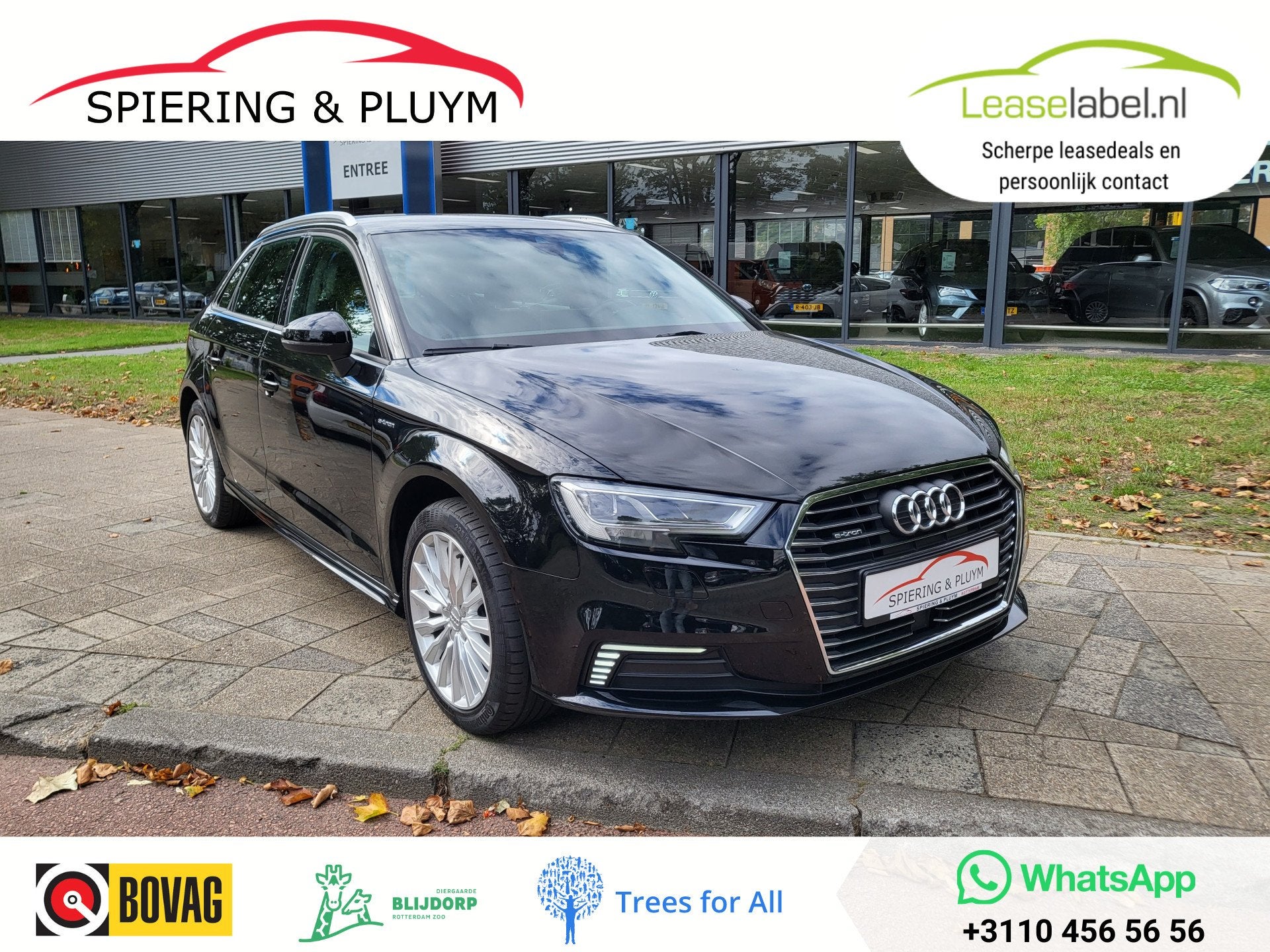 Audi A3 1.4 e-tron Sport PL+ | Adaptive Cruise | Leder, Auto's, Gebruikt, Euro 6, 4 cilinders, Zwart
