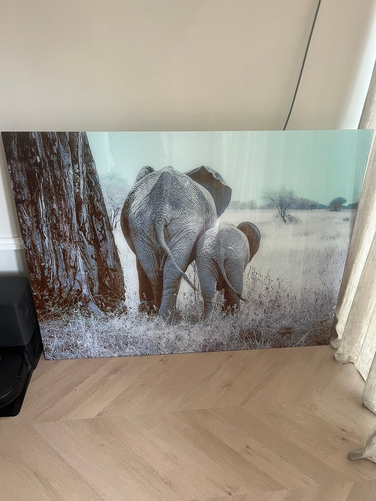 Olifant schilderij glas, Ophalen, 125 cm of meer, Zo goed als nieuw, Schilderij