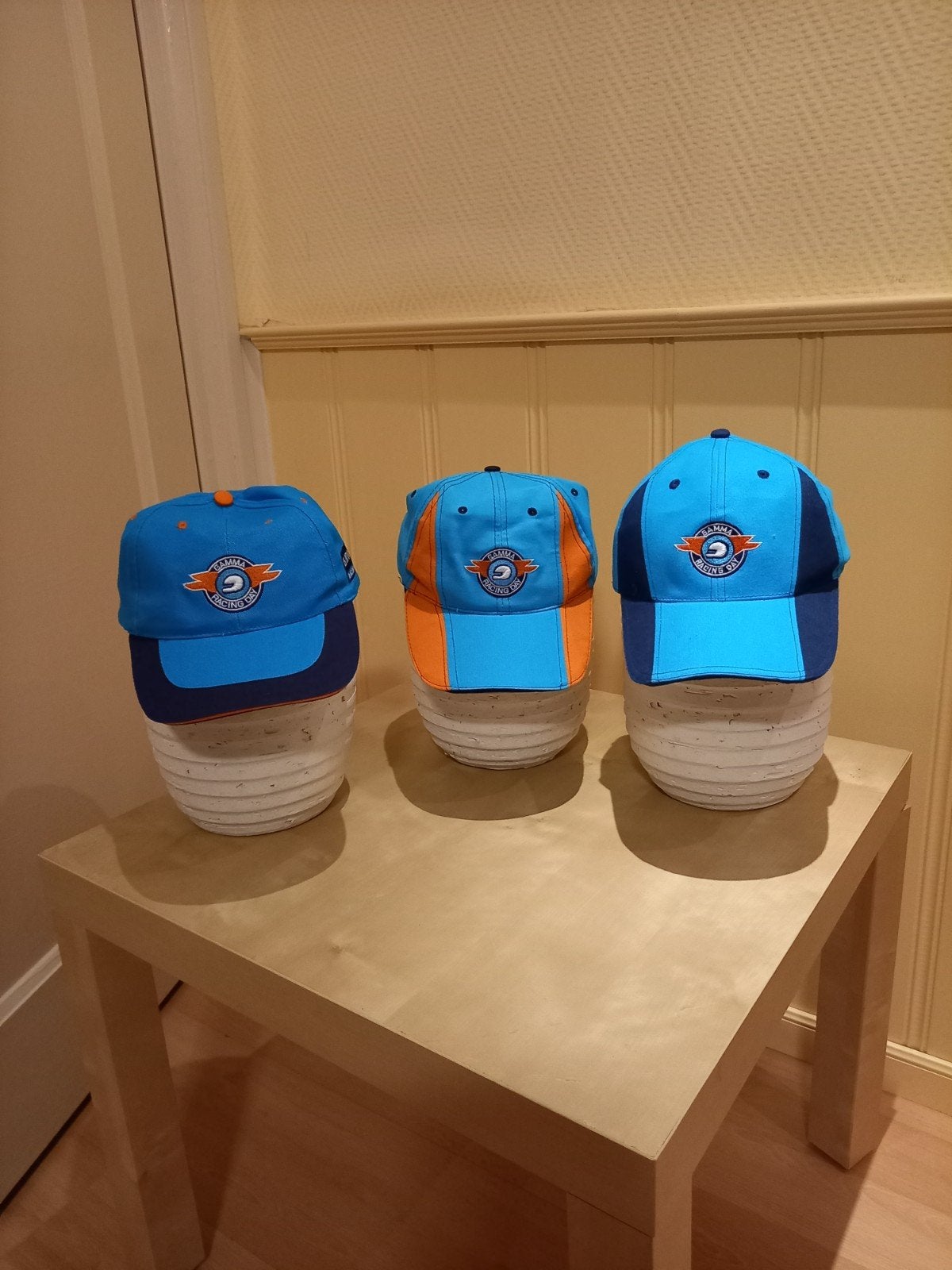3 nieuwe Gamma Racing Day caps, Pet, Nieuw, Gamma Racing Day, One size fits all