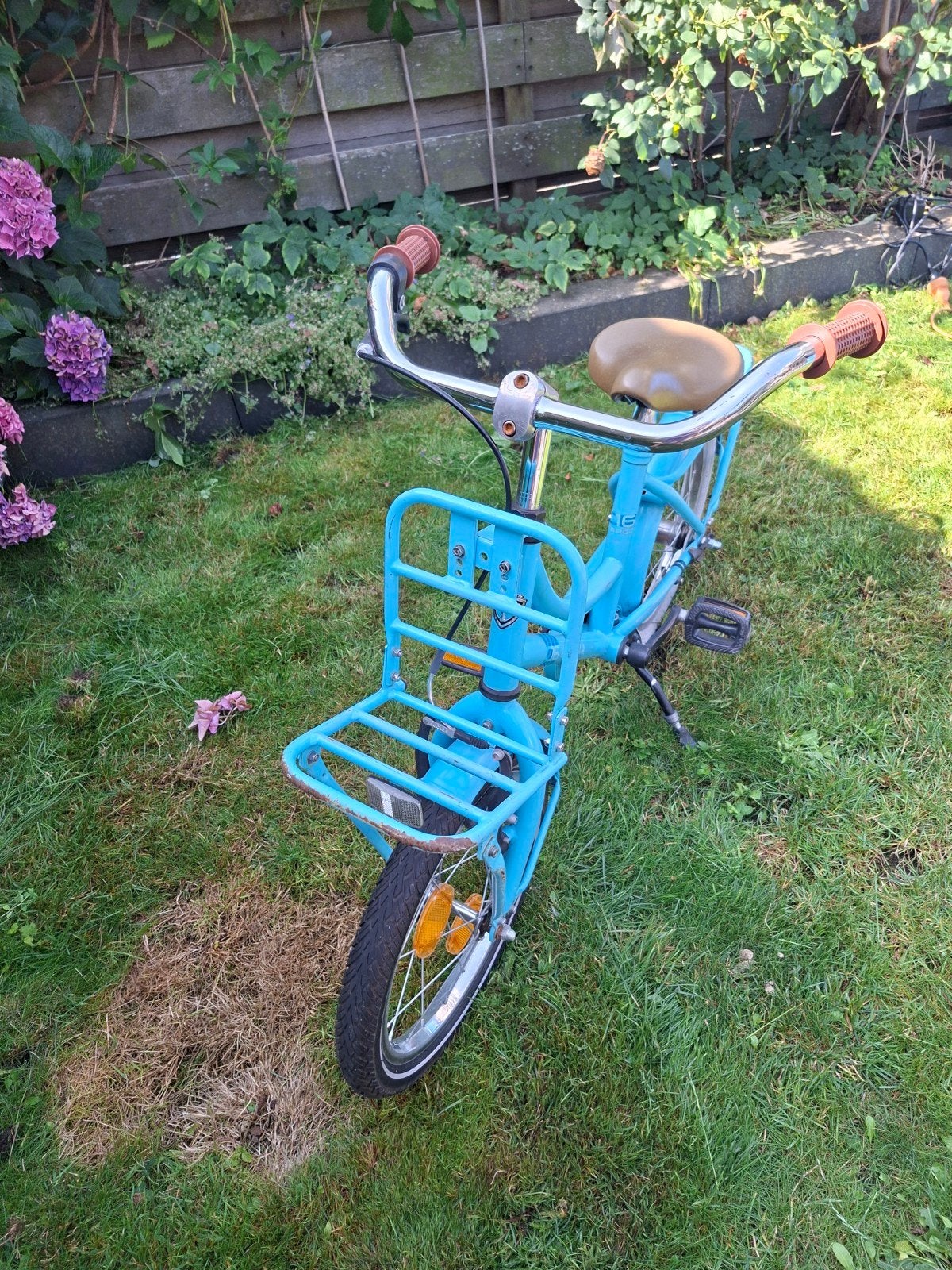 Alpina kinderfiets 16 inch met voordrager, Fietsen en Brommers, Fietsen | Kinderfietsjes, Ophalen, Terugtraprem, Alpina, 16 tot 20 inch