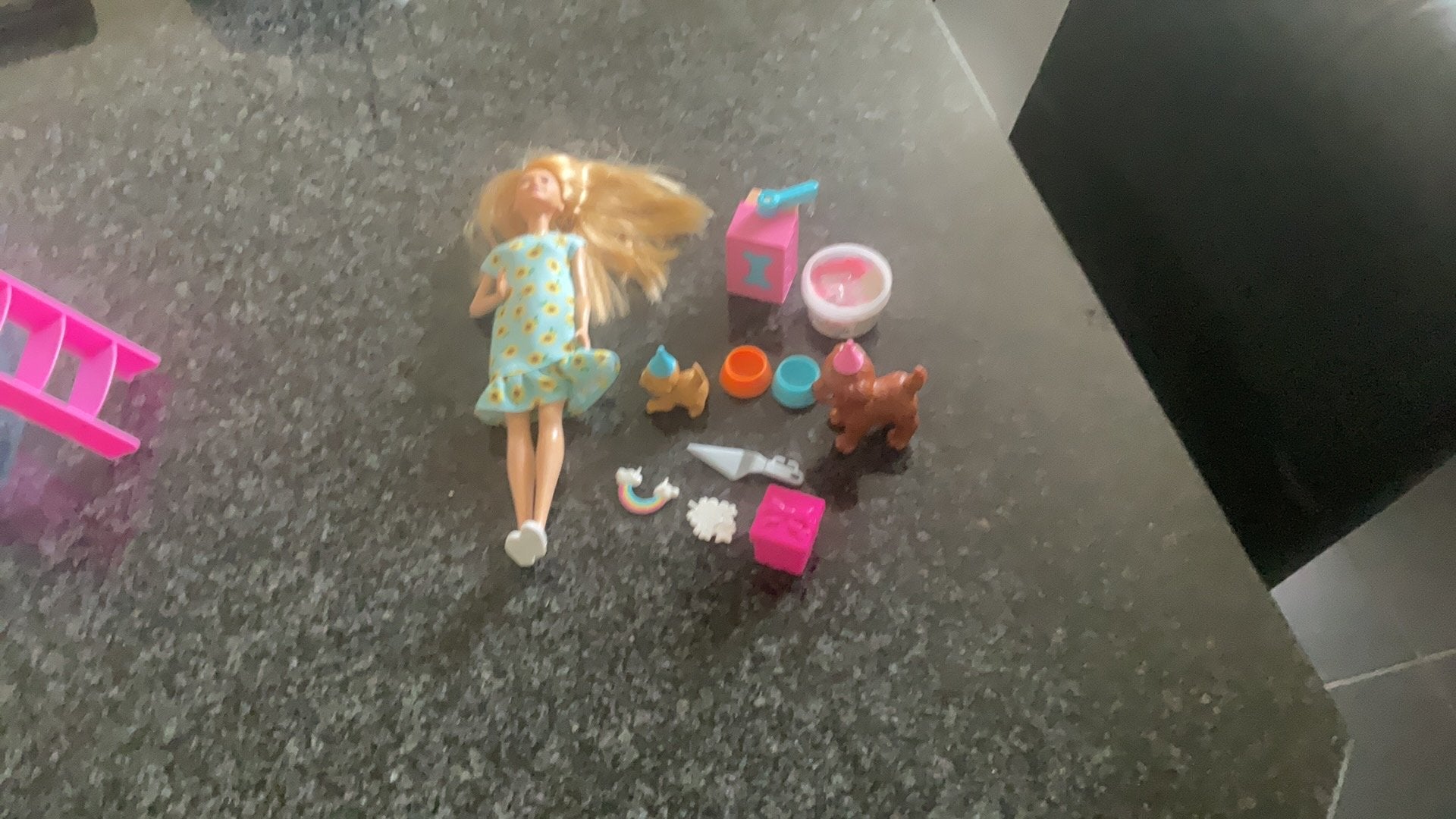 Barbie met diverse honden accessoires, Ophalen of Verzenden, Gebruikt, Barbie