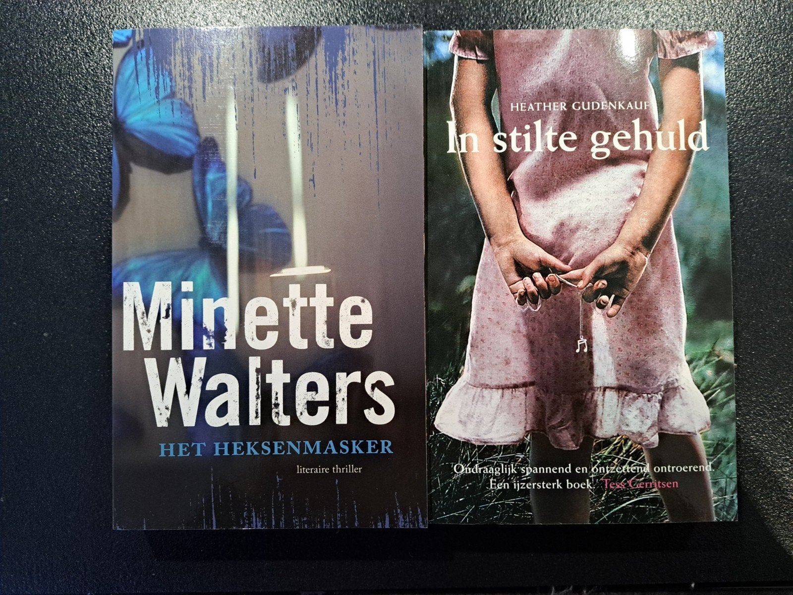 Minette Walters & Heather Gudenkauf - 2 thrillers, Ophalen of Verzenden, Zo goed als nieuw, Minette Walters, Heather Gudenkauf