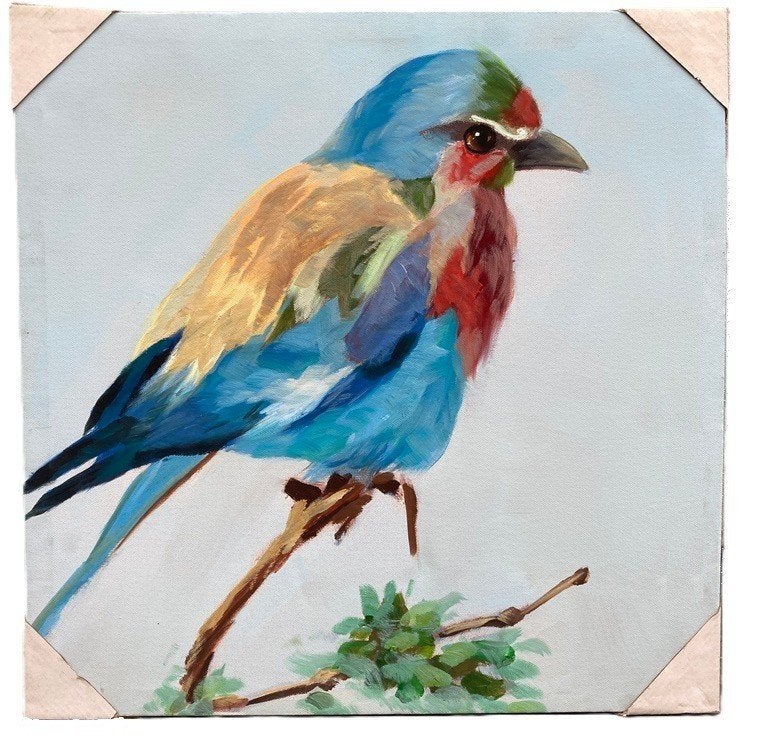 SCHILDERIJ VOGEL BONT 50x50 cm, Acrylverf, Op houten frame, Ophalen of Verzenden, Dieren