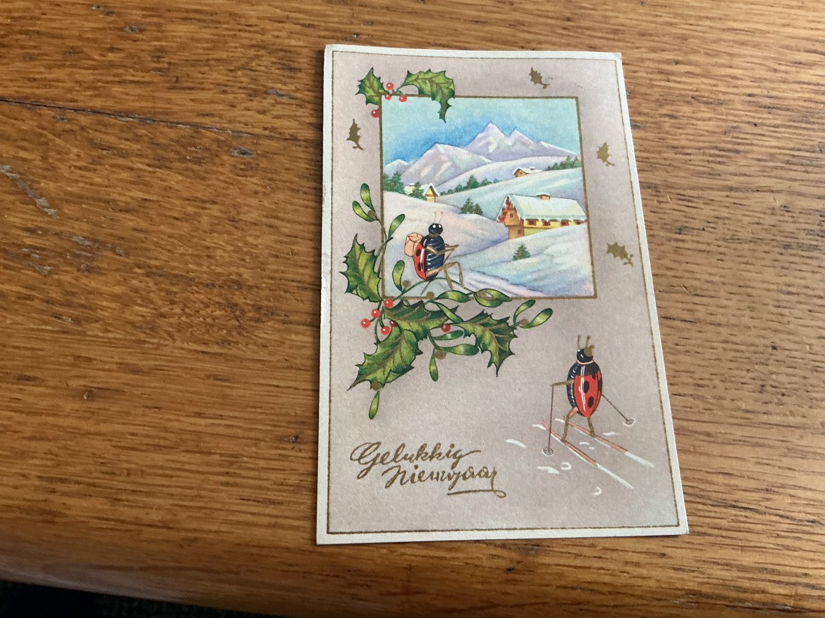 Z59 gelukkig nieuwjaar lieveheersbeestje skiën, Verzamelen, Ophalen of Verzenden
