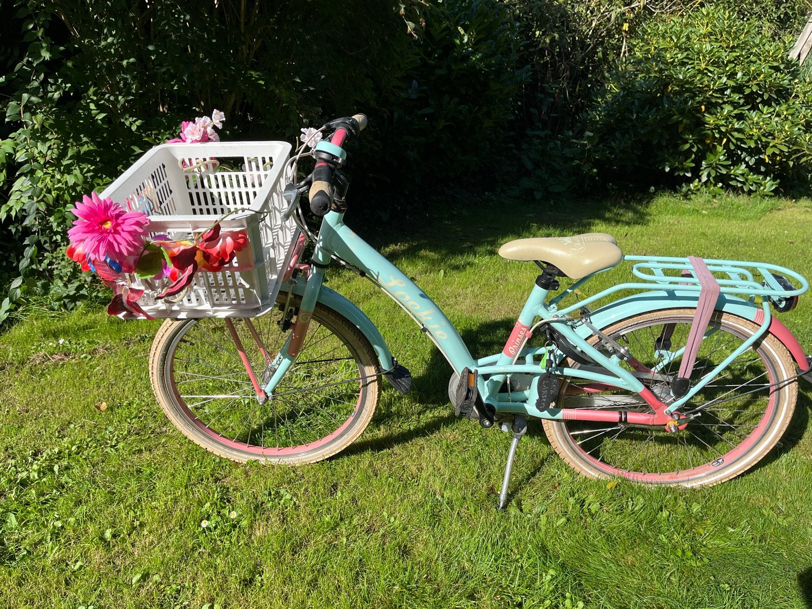 Loekie Prinses Kinderfiets 22 inch met 3 versnellingen, Ophalen, Gebruikt, 22 inch, Versnellingen