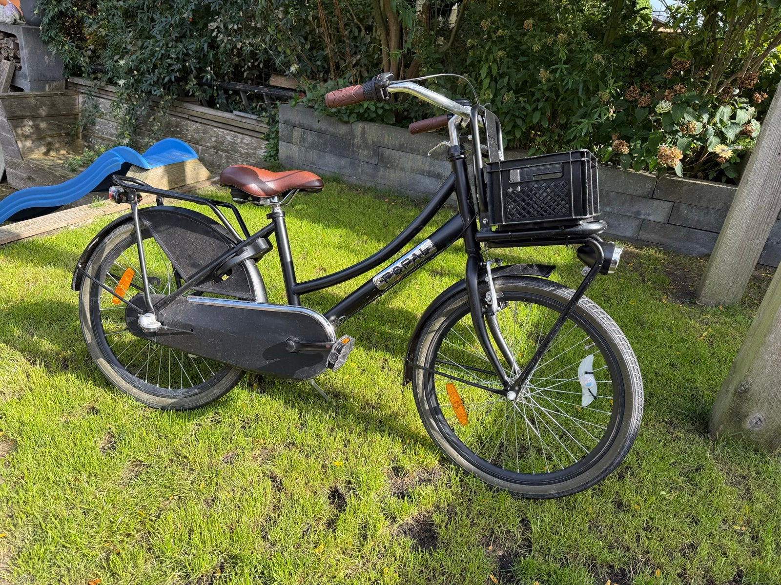 Popal Meisjesfiets 22 inch, Ophalen, Gebruikt, Terugtraprem, Popal