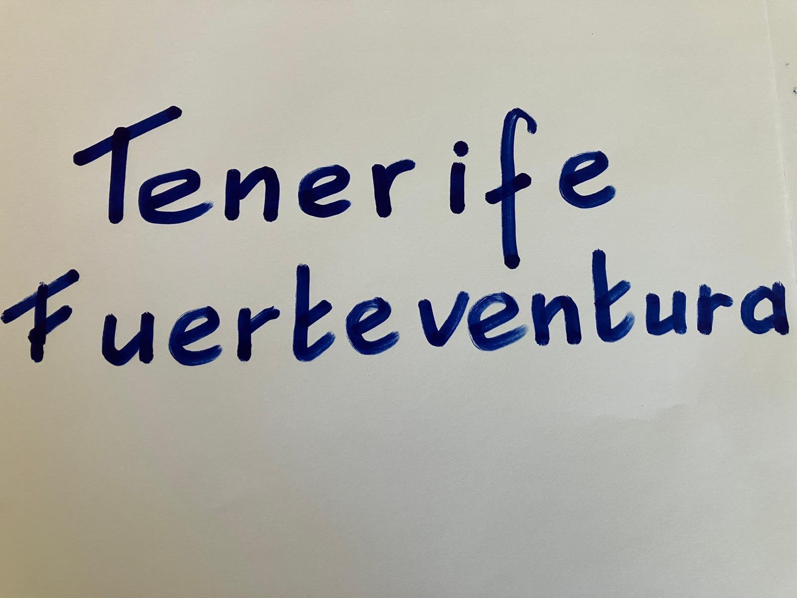 Gezocht huur app. in Spanje: zuid Tenerife of Fuerteventura, Tickets en Kaartjes, Eén persoon