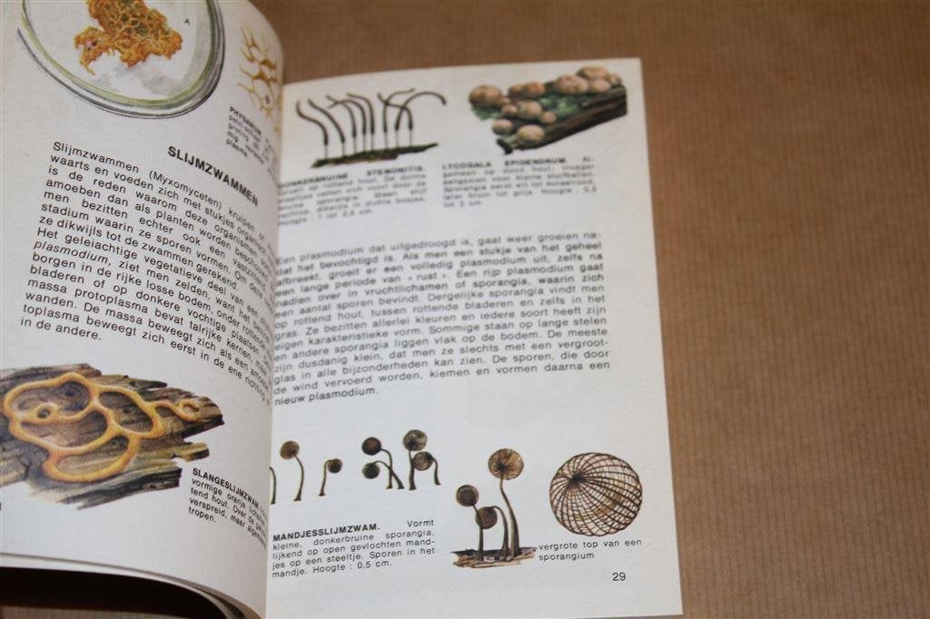 Natuurgids voor de niet-bloeiende planten. Varens..., Ophalen of Verzenden, Gelezen, Bloemen, Planten en Bomen