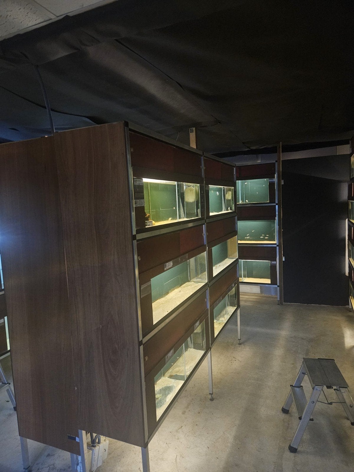 Aquariumstelling, Ophalen, Leeg aquarium