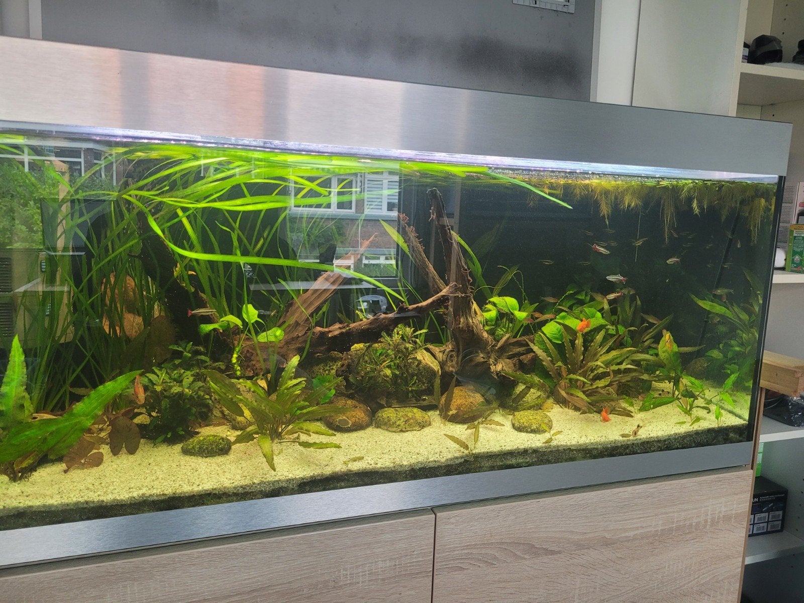 Oase highline 300, Dieren en Toebehoren, Ophalen, Overige merken, Leeg aquarium, Gebruikt