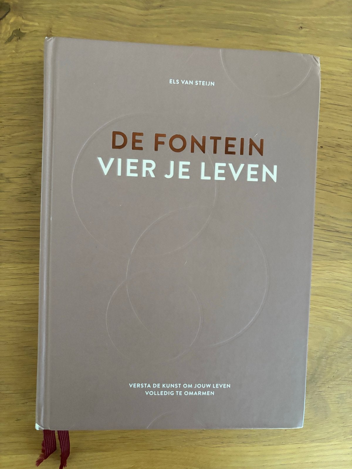 De Fontein Vier Je Leven - Els van Steijn, Ophalen of Verzenden, Gelezen