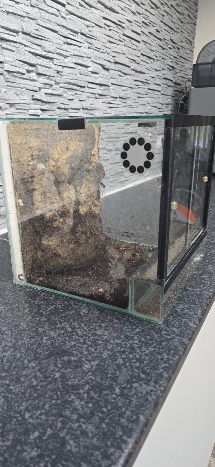 30x30x30 terrarium, Dieren en Toebehoren, Ophalen, Zo goed als nieuw, Terrarium of Paludarium