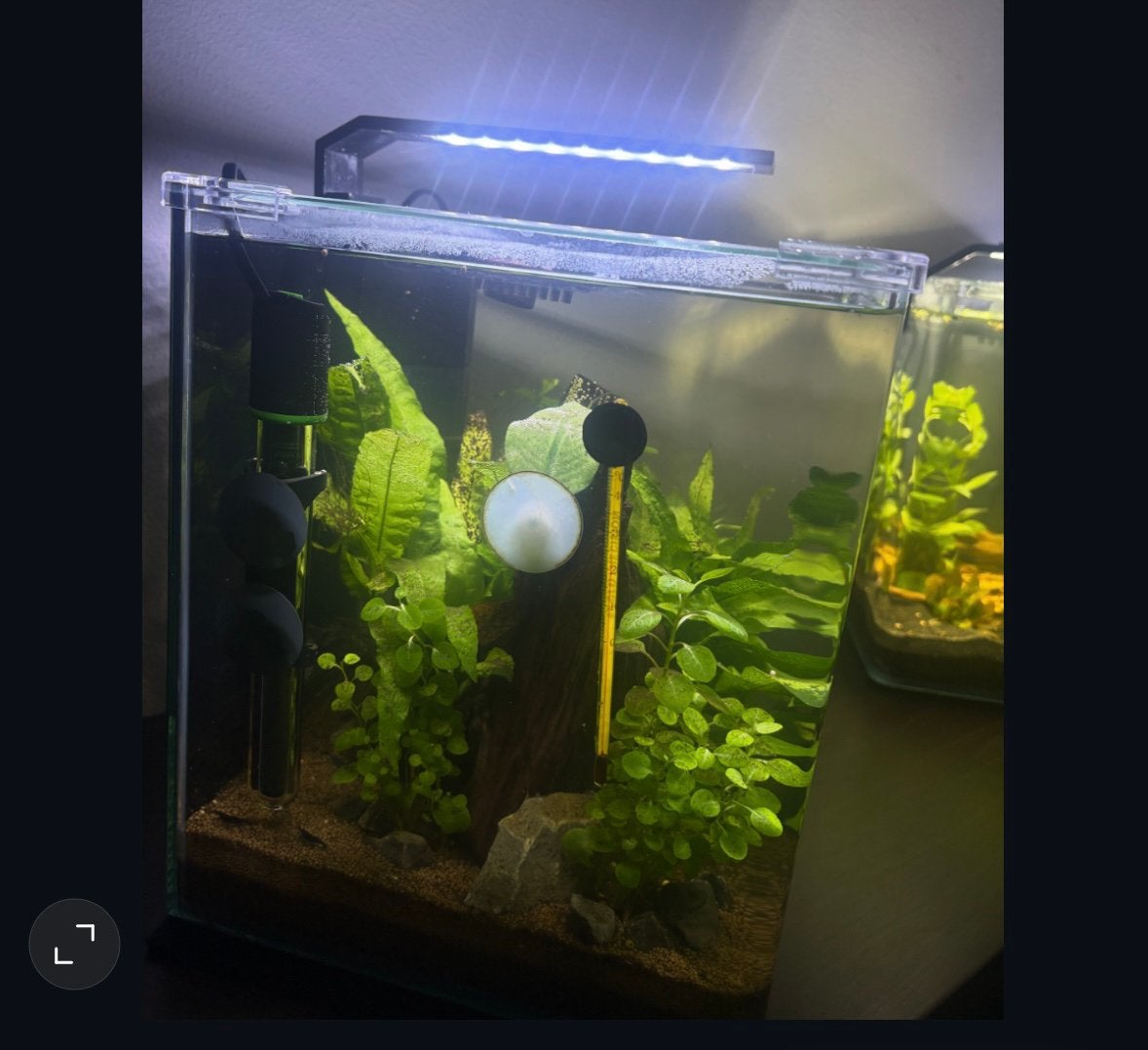 Nabo cube dennerle 20 liter, Dieren en Toebehoren, Vissen | Aquaria en Toebehoren, Ophalen, Zo goed als nieuw, Gevuld zoetwateraquarium