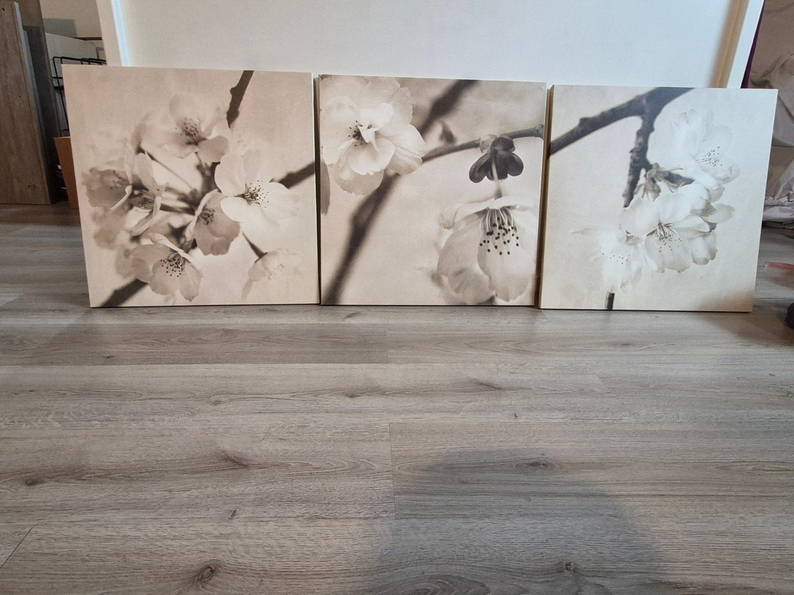 Set van 3 canvas schilderijen met bloesem, Ophalen, 50 – 75, Zo goed als nieuw, Schilderij