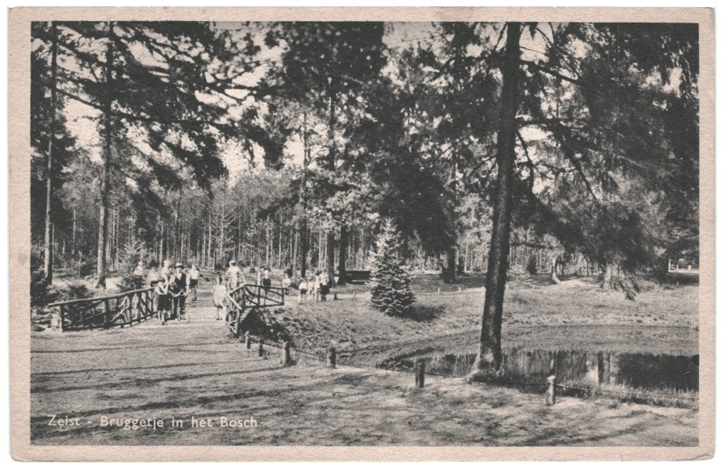 44086 Zeist Bruggetje in het bosch Nette kaart Onbeschreven, Ophalen of Verzenden, 1920 tot 1940, Ongelopen, Utrecht
