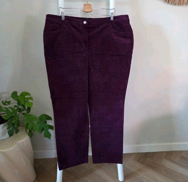 Paola paarse/aubergine corduroy broek maat 54, Paola, Ophalen of Verzenden, Zo goed als nieuw, Paars