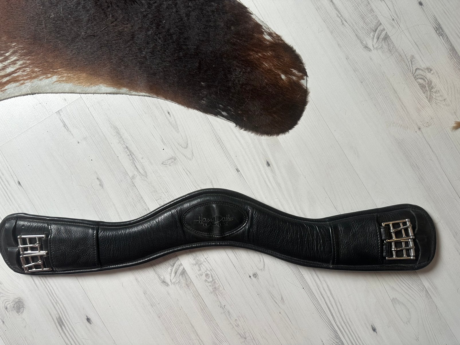 Harry dabbs singel 70 cm, Dieren en Toebehoren, Ophalen of Verzenden, Zo goed als nieuw, Dressuur