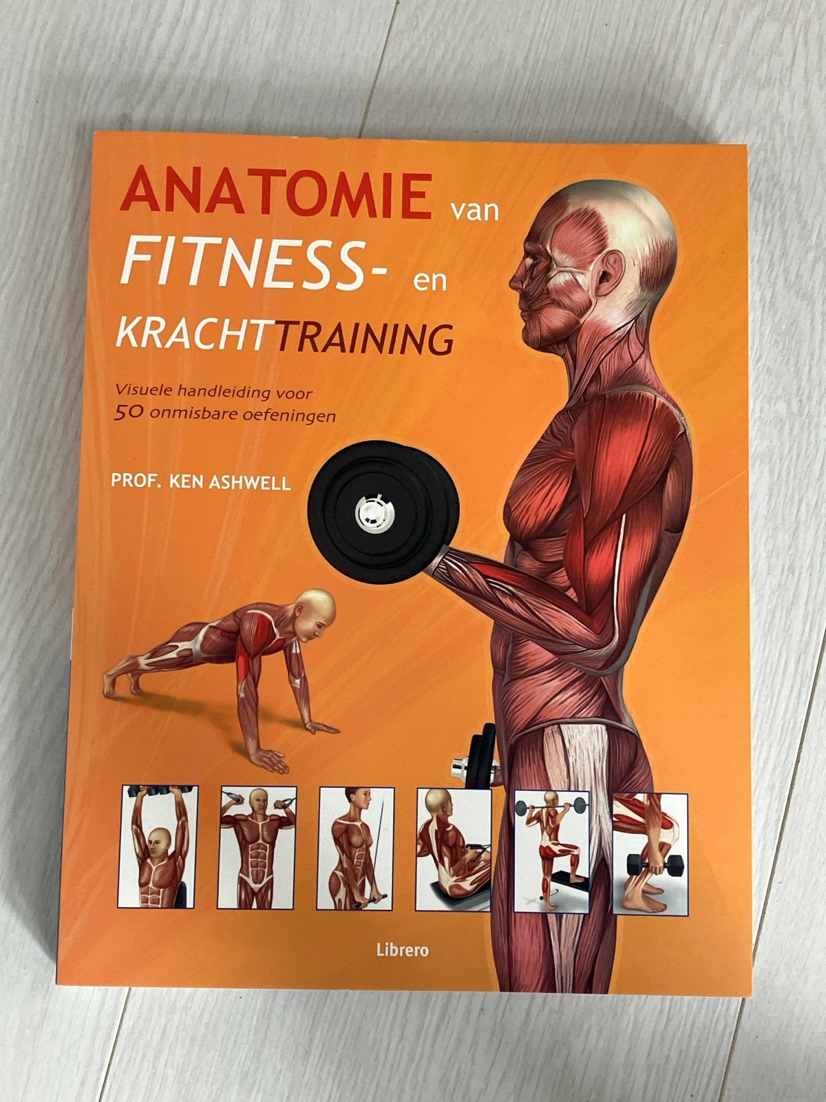 Anatomie van Fitness- en Krachttraining - Prof. Ken Ashwell, Ophalen of Verzenden, Zo goed als nieuw, Gezondheid en Conditie