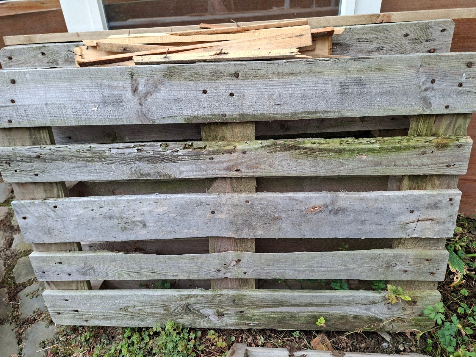 Gratis Gebruikte houten pallets - Ideaal voor diverse projec, Doe-het-zelf en Verbouw, Hout en Planken, Ophalen, Gebruikt, 50 mm of meer