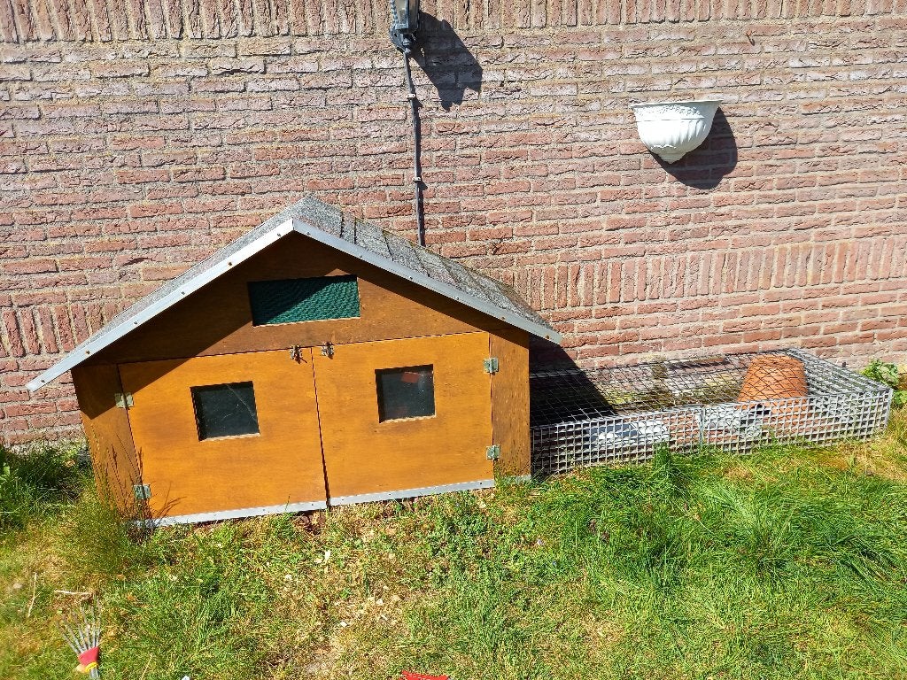 Caviakooi, Ophalen, 90 cm of meer, Hok, Cavia