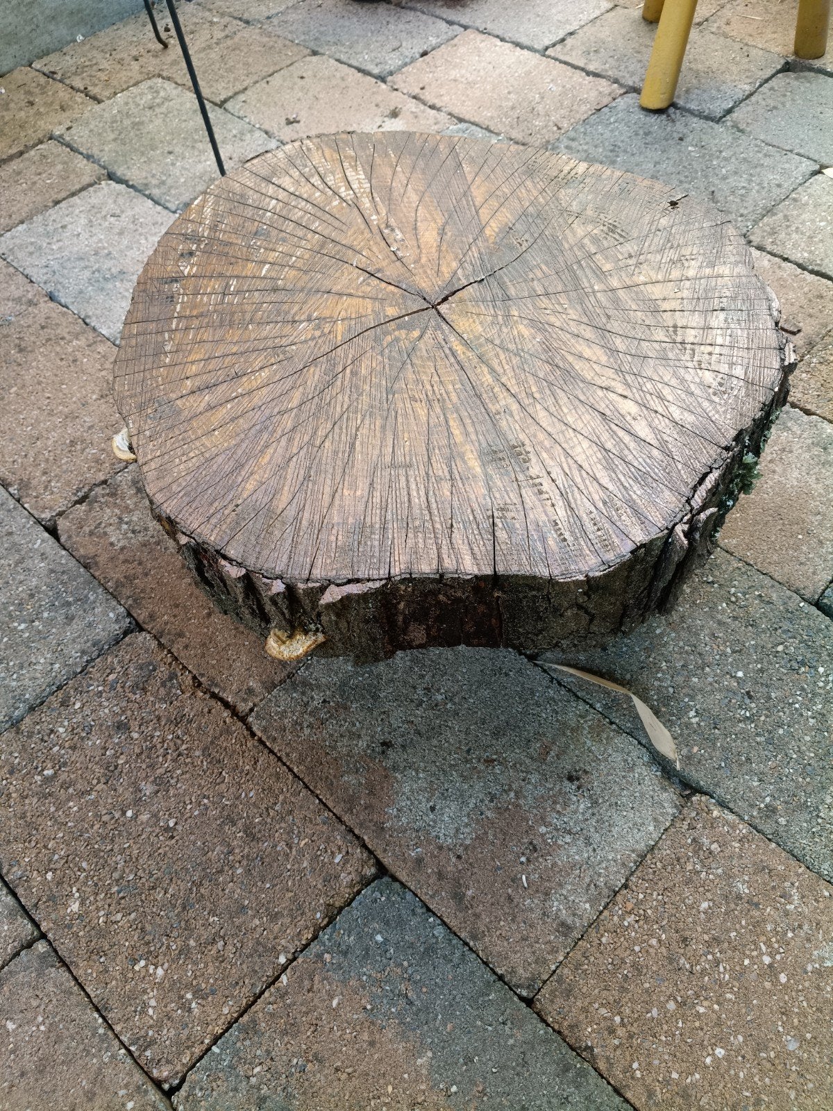 Boomstam tafeltje, Ophalen, Gebruikt, Rond, Hout