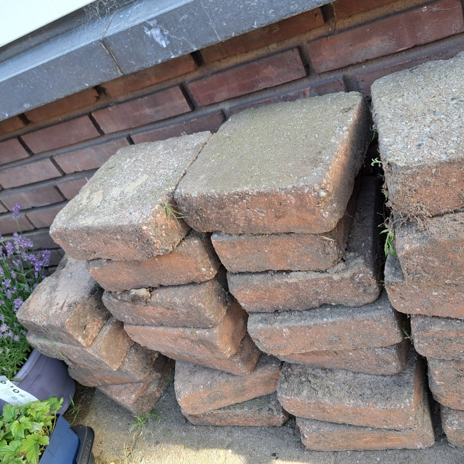 Terracotta kleur tuintegels, Tuin en Terras, Tegels en Klinkers, Ophalen, Gebruikt, Beton, Terrastegels