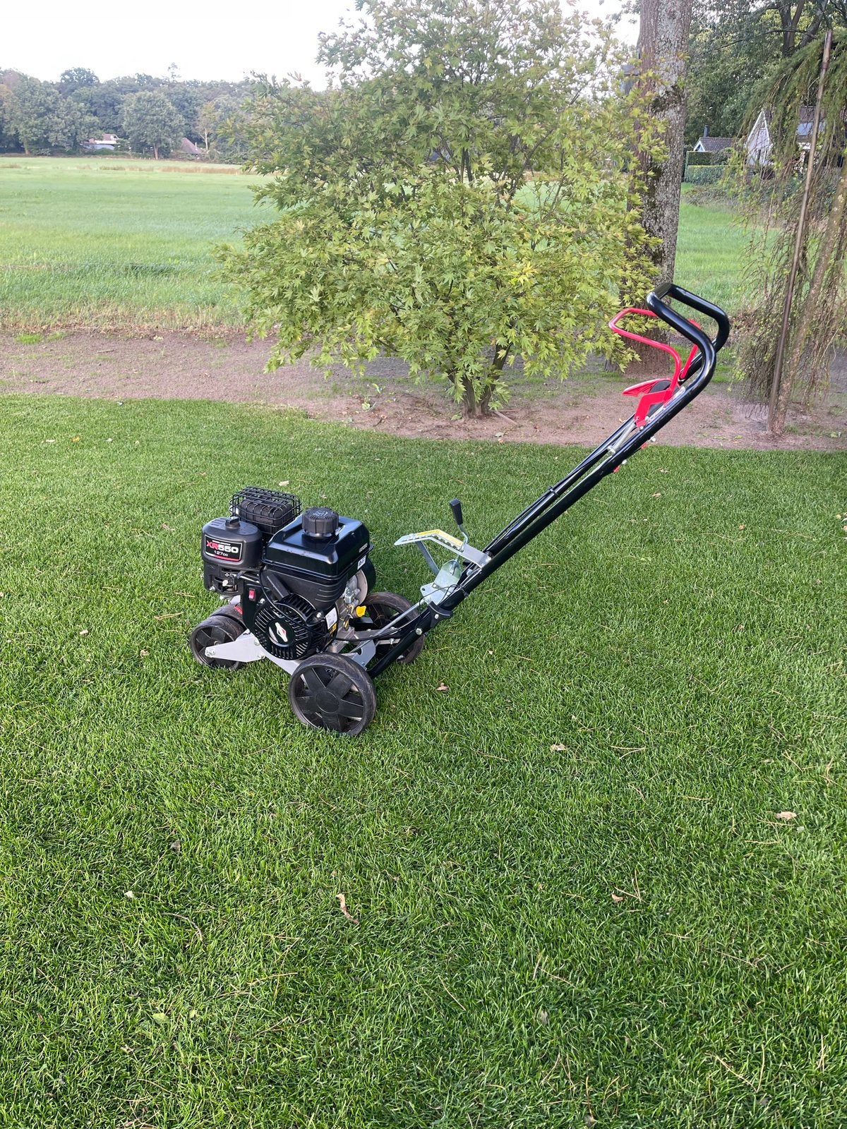 Masport Benzine Graskantensnijder met Briggs & Stratton Moto, Tuin en Terras, Cirkelmaaier, Minder dan 30 cm, Nieuw, Ophalen of Verzenden
