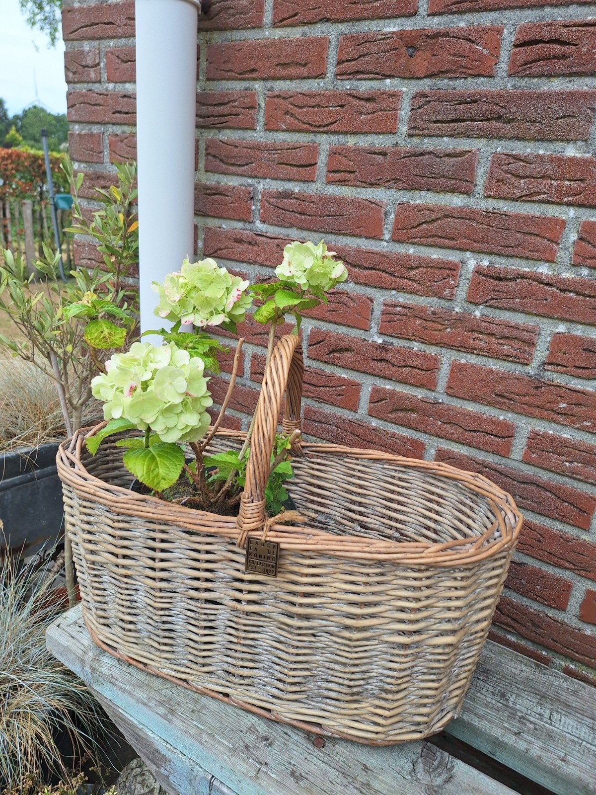 Plukmand,stoere mand,tuin,brocanre,landelijk wonen,, Ophalen, Zo goed als nieuw, Riet, Met handvatten