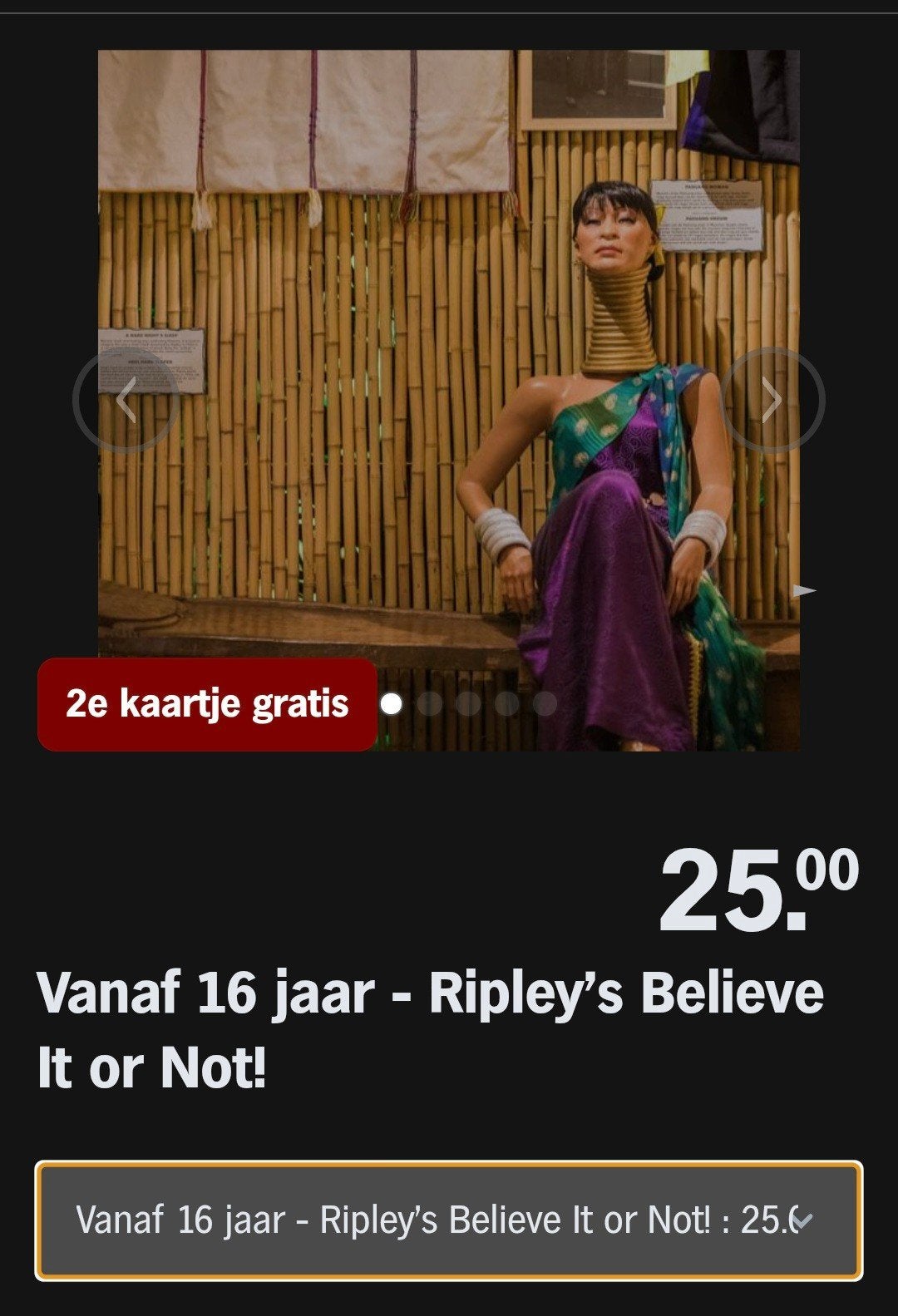 RIPLEY'S BELIEVE IT OR NOT!  2e kaartje gratis (AH Actie), Overige typen