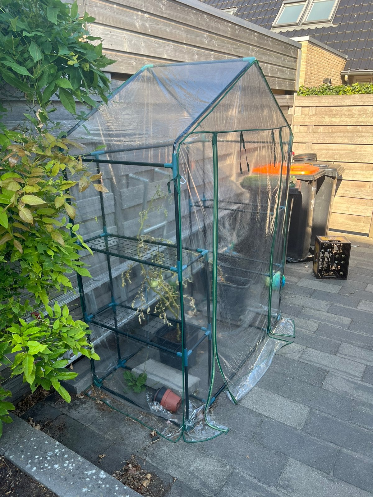 Kas, Ophalen of Verzenden, Zo goed als nieuw, Plastic, Kweekkas