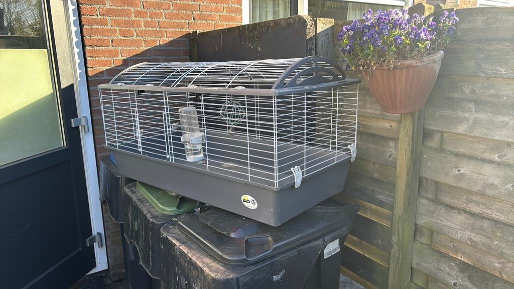 Zeer net groot konijnenhok, Ophalen of Verzenden, Zo goed als nieuw, Hout, Vogelkooi
