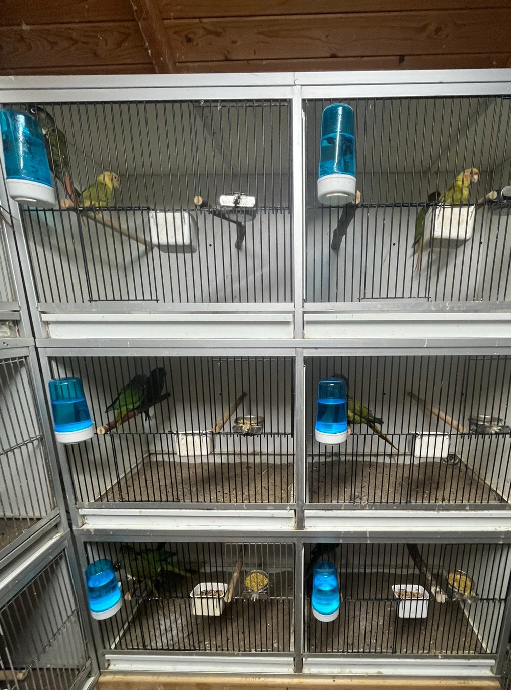 Van keulen kooien, Ophalen, Gebruikt, Aluminium, Broedkooi of Kweekkooi