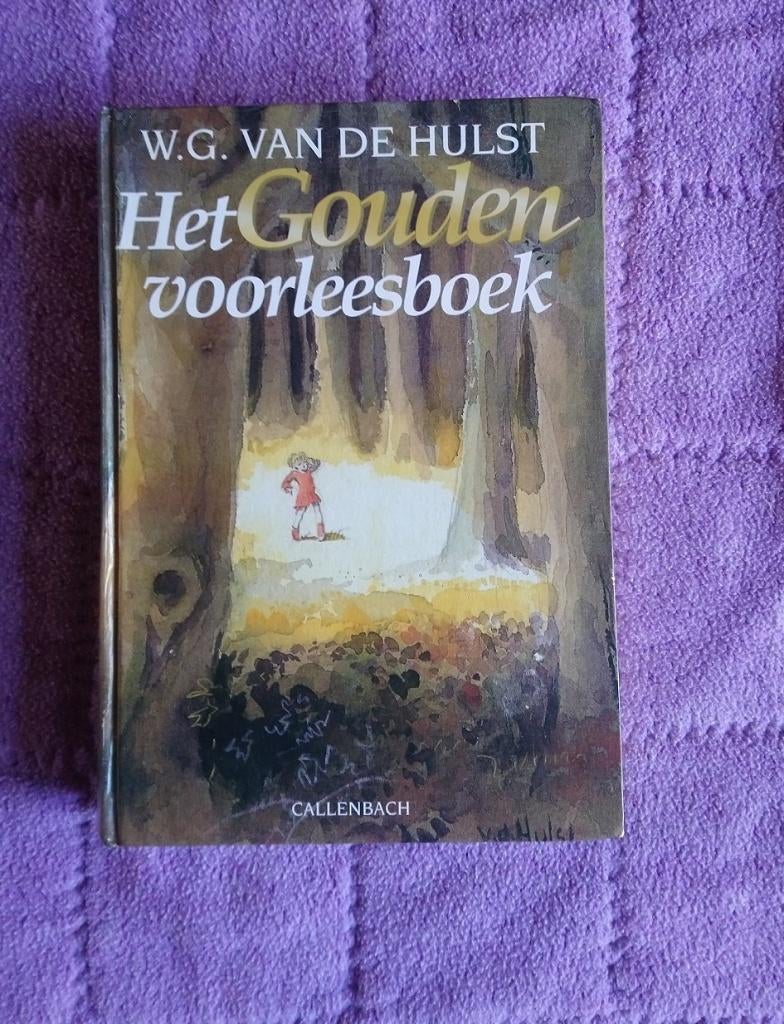 W G van de Hulst, Boeken, Ophalen of Verzenden, Gelezen, W.G. van de Hulst, Fictie algemeen