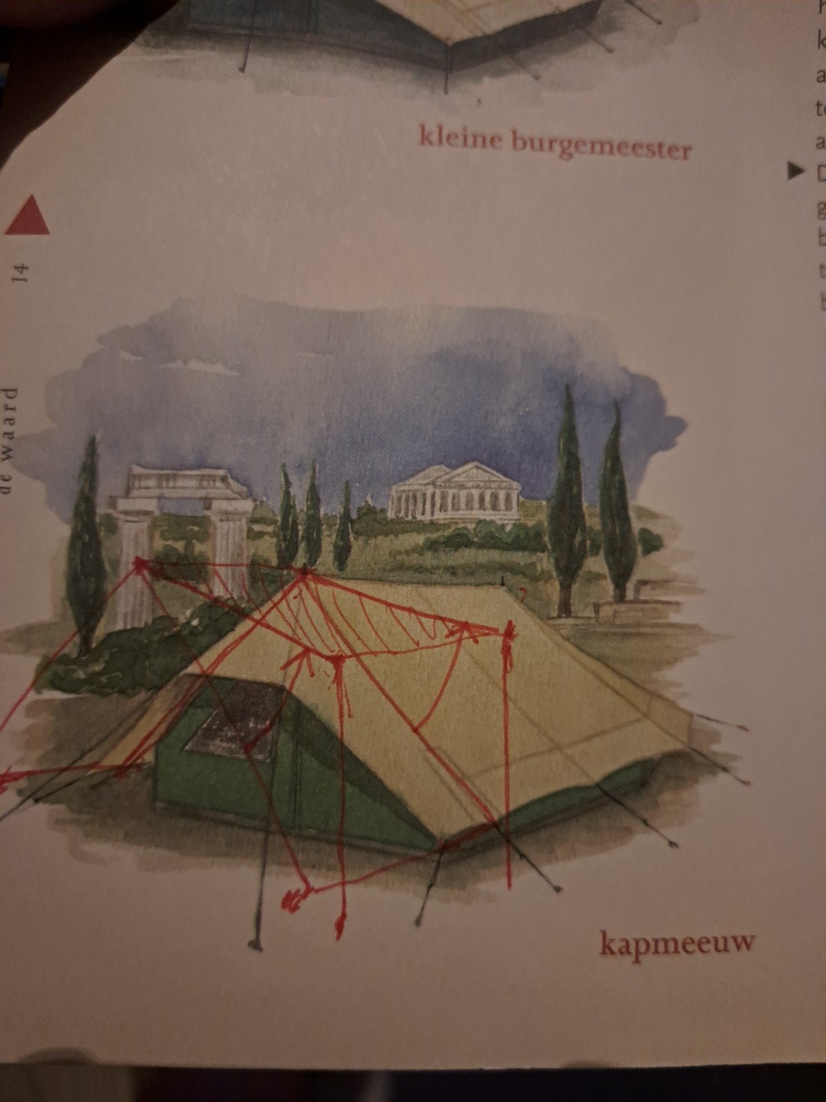 De Waard Kapmeeuw - Zeer weinig gebruikt, met luifel, Ophalen, Zo goed als nieuw, Tot en met 4