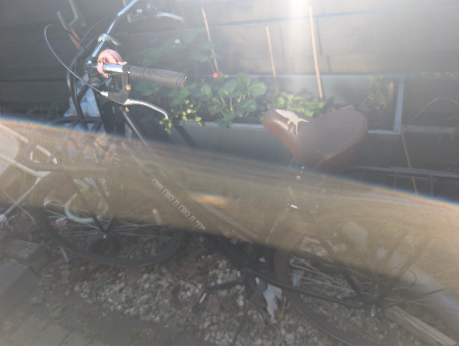 Gebruikte damesfiets - Opknapper, Velgrem, Ophalen, Overige merken, 53 tot 56 cm