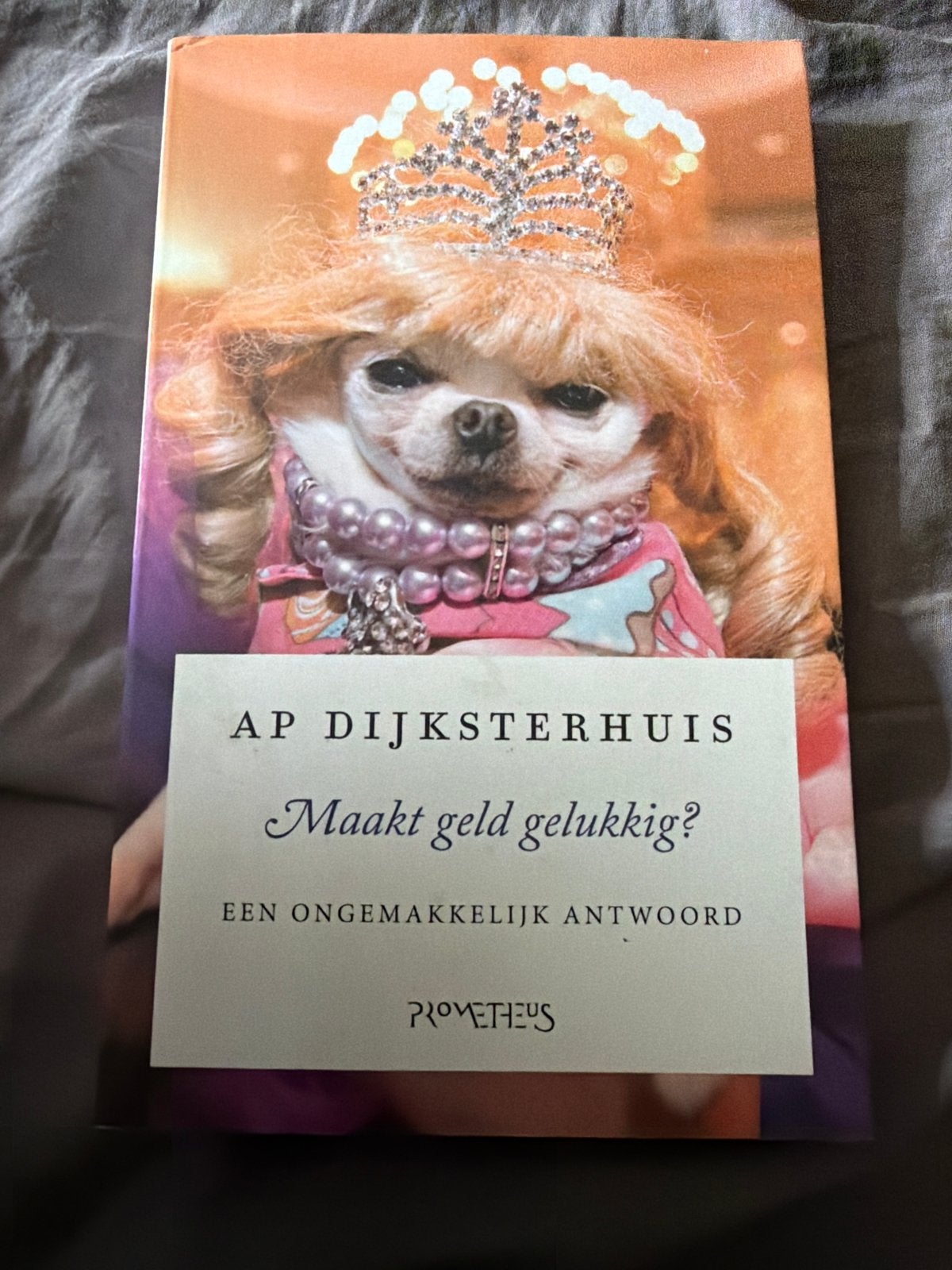 SKR.   Ap Dijksterhuis - Maakt geld gelukkig?, Boeken, Ophalen of Verzenden, Zo goed als nieuw, Ap Dijksterhuis