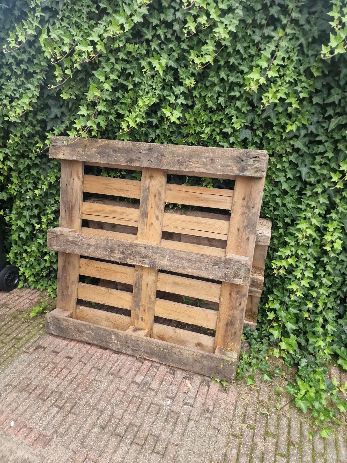Twee pallets gratis op te halen., Ophalen, Minder dan 25 mm, Pallet, Minder dan 200 cm