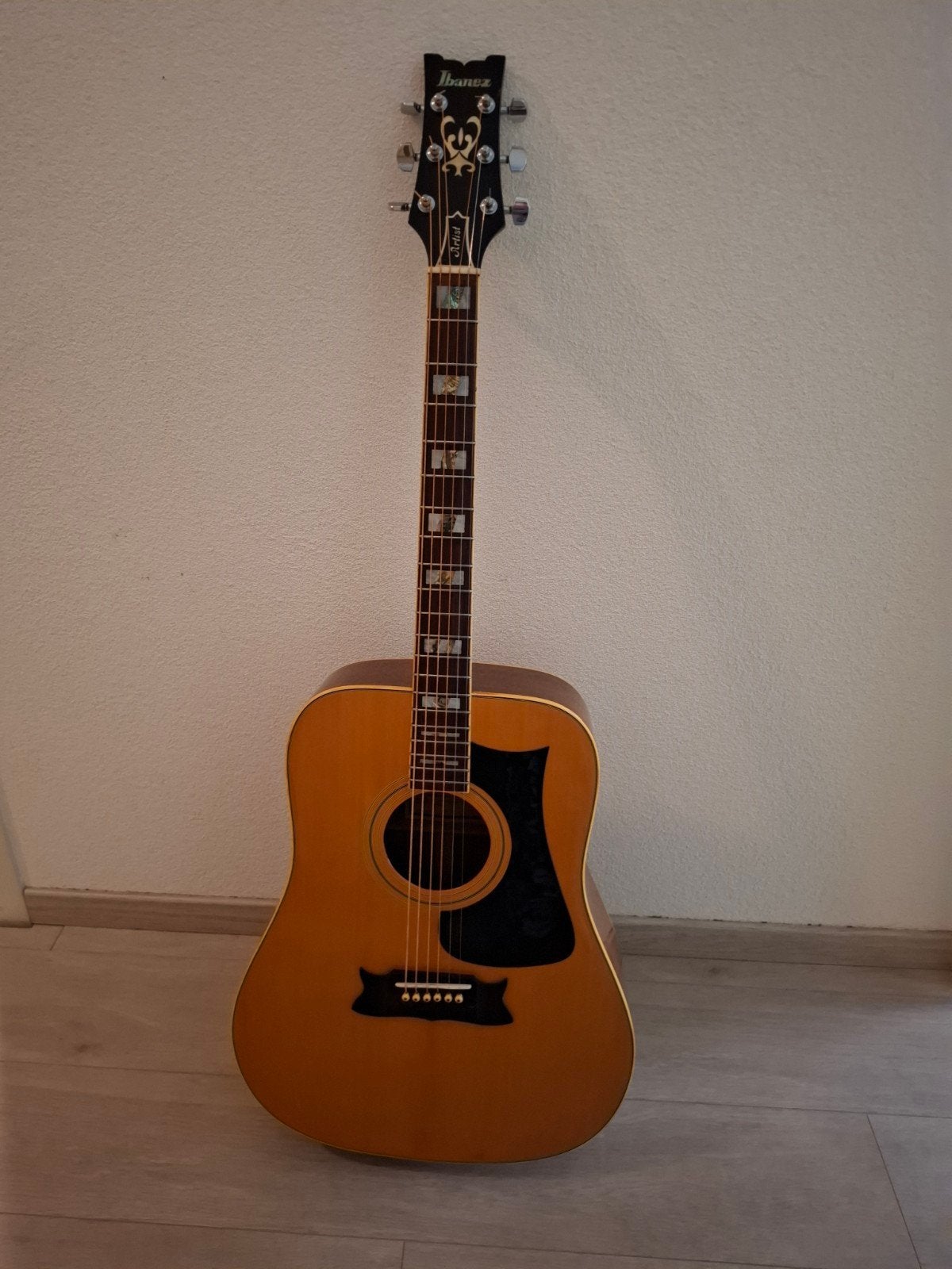Ibanez Artist 2608 Western gitaar met koffer, Muziek en Instrumenten, Ophalen, Gebruikt, Western- of Steelstringgitaar, Met koffer