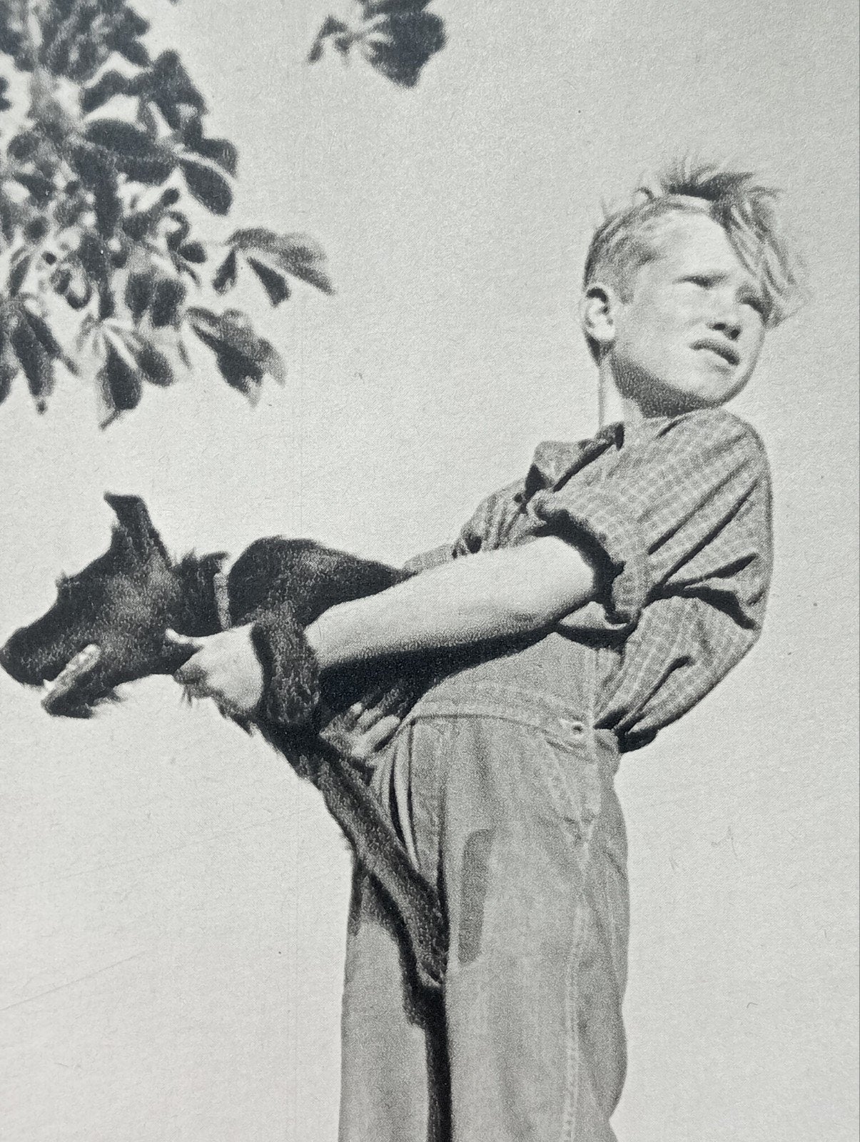 Jongen met hond diepdruk 1954 Duitsland, Verzenden, 1940 tot 1960, Tijdschrift