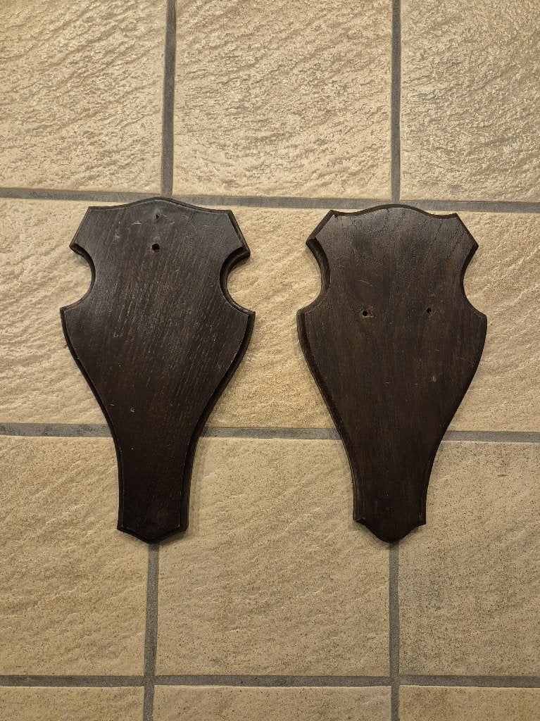 2 Trofeeplanken donker eiken 29x17 cm samen €12 taxidermie, Ophalen of Verzenden, Gebruikt, Hert, Gewei of Kop